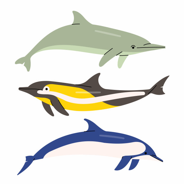 矢量插图的海豚。图片下载