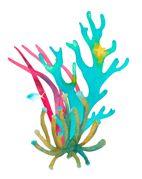 珊瑚礁水彩插图组成。手绘水下海洋生物装饰设计。美丽明亮的珊瑚，鱼，海星，海藻，海洋生物在白色的背景图片下载