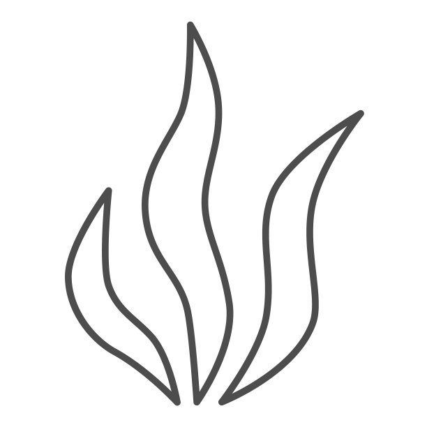 海藻细线图标海洋概念藻类标志图片下载