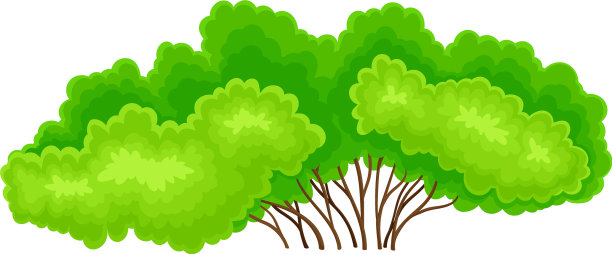 树冠多叶的绿色灌木或灌木图片下载