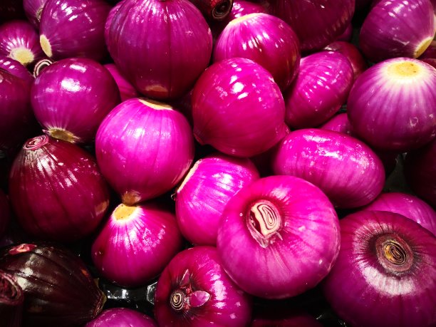 红洋葱。图片下载
