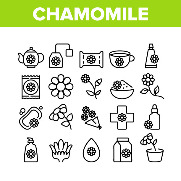 洋甘菊花植物收集图标集图片下载