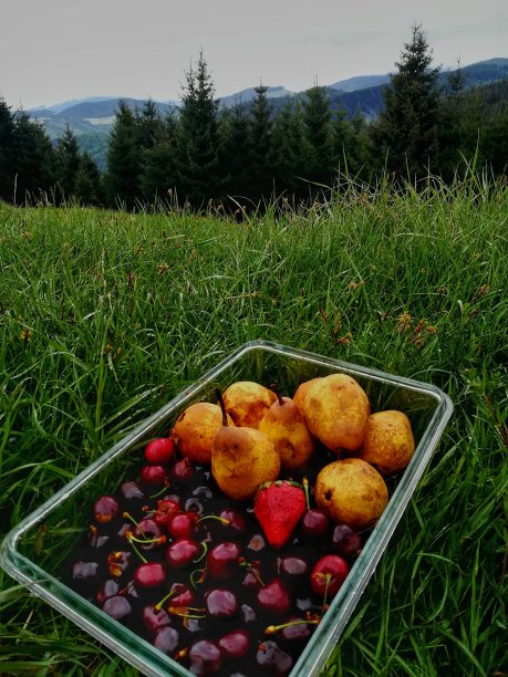 樱桃和梨图片下载