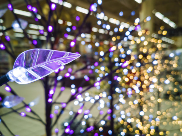 树叶用灯，圣诞装饰图片下载