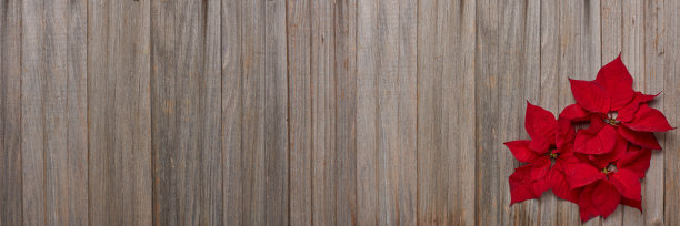 圣诞花在古老的木制背景。圣诞和新年装饰品。贺卡。顶部视图与复制空间图片下载