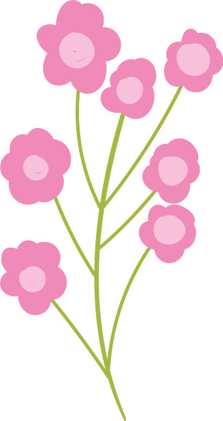 花，叶，分枝，自然，植物孤立图片下载