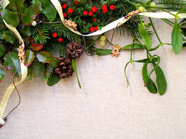 圣诞装饰背景贺卡，云杉和槲寄生树枝与冬青叶和红球，丝带，锥形图片下载