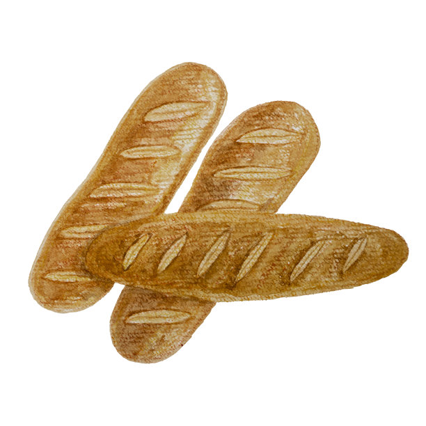 棕色自制的硬皮法国面包面包或烤插图，烘焙水彩手绘孤立在白色背景与剪切路径图片下载