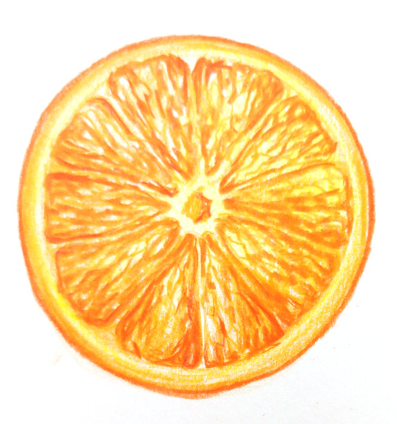 新鲜成熟的橙子片配上白面包。彩色铅笔画画图片下载