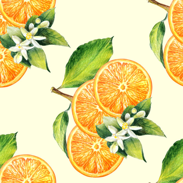 橙、橙片，叶与柑橘花无缝图案图片下载