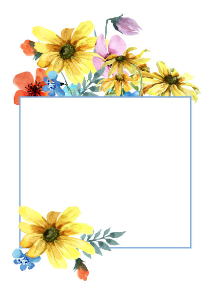 由蓝色、红色、粉红色和黄色的野花组成，在白色的背景和框架上有绿色的小枝。水彩。图片下载