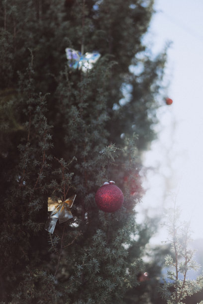 圣诞装饰品，圣诞树上的球，圣诞背景与散焦，选择性聚焦图片下载