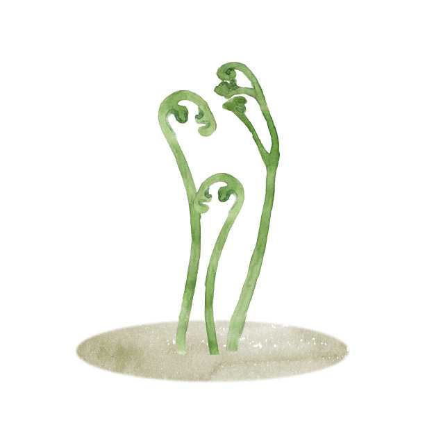 水彩布莱肯图片下载