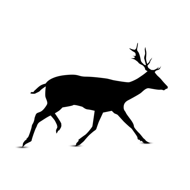 鹿的剪影。图片下载