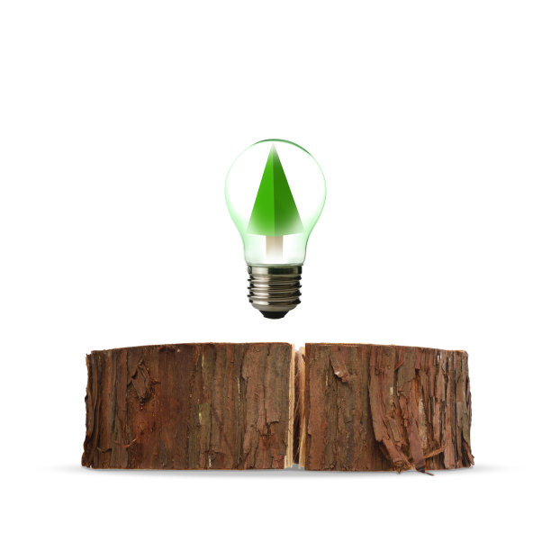 孤立的照片折纸树内灯泡在半空中树桩上的白色背景图片下载