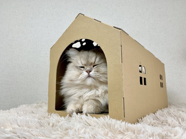 呆在家里图片下载