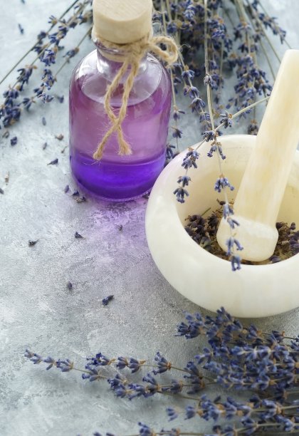 瓶薰衣草精油与薰衣草花和薰衣草种子在灰白色复古背景臼碗，复制空间。香薰、按摩、水疗概念。图片下载