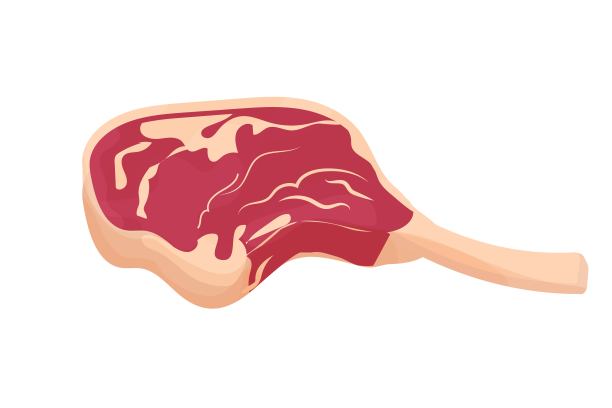 肋排中的骨头，生肉的细部图画孤立在白色的背景上。饭，食片肉。烧烤或菜单图片下载