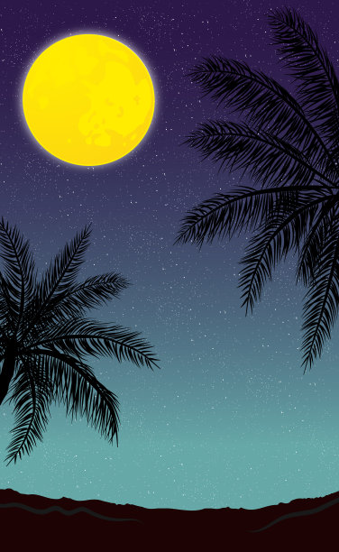 在棕榈树的背景上，夜晚的全景月亮图片下载