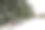 城市公园里的小巷里，白雪覆盖着针叶树。横向视图图片下载