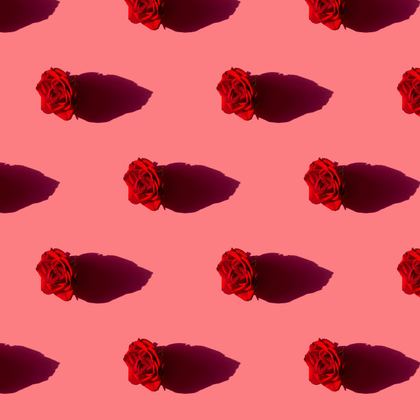 红玫瑰无缝图案在粉红色的背景。平躺，俯视图。简约时尚的概念。图片下载
