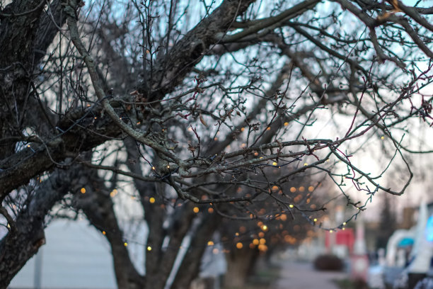 美丽的街景与花环和散景的背景。圣诞背景设计。欧洲的新年气氛图片下载