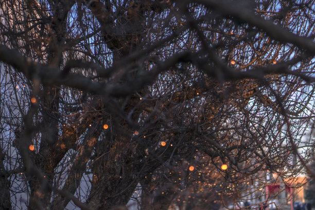 美丽的街景与花环和散景的背景。圣诞背景设计。欧洲的新年气氛图片下载