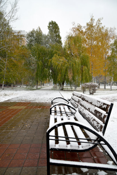 第一场雪落在秋天，躺在一个公园的木凳上。俯视图图片下载