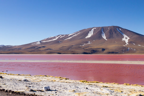 玻利维亚的科罗拉多湖图片下载