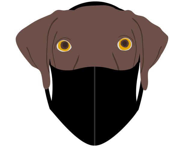 戴着白色面罩的狗图片下载