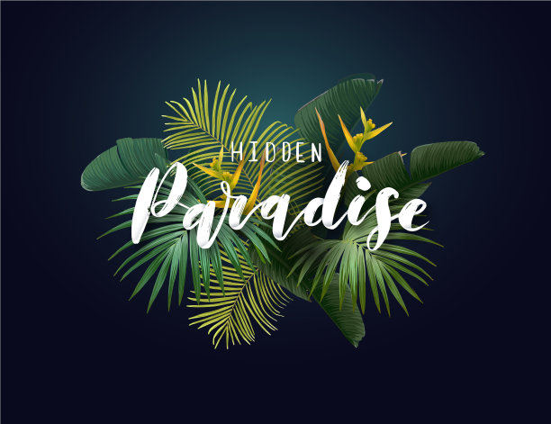 夏日热带设计与异国情调的绿色图片下载