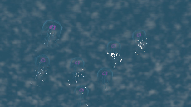 水母与蓝天白云图片下载