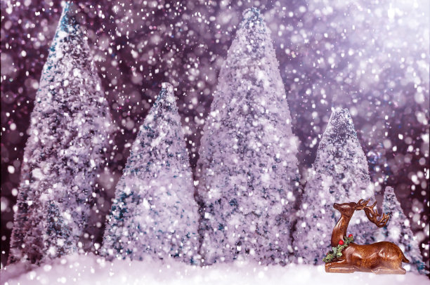 雪地里的驯鹿图片下载