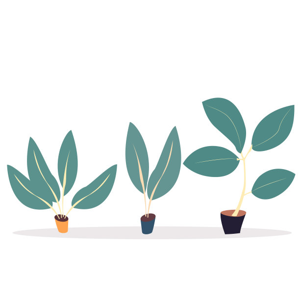 家用或办公室用盆栽装饰图片下载