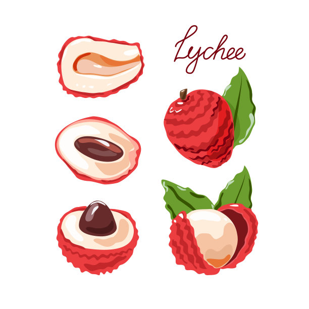 荔枝果和去皮荔枝图片下载