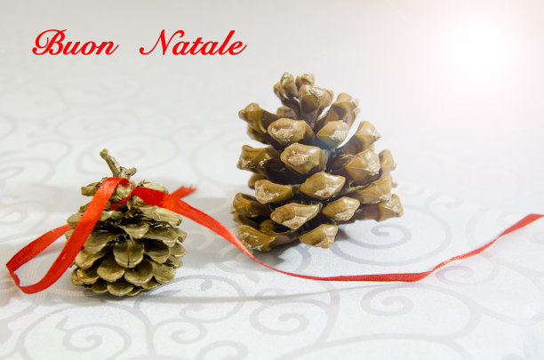 祝福圣诞松果图片下载