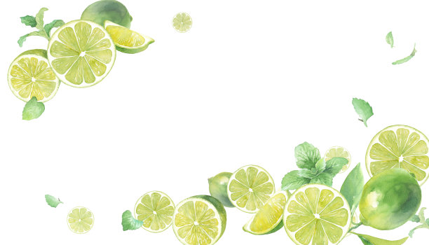 一个清新的柠檬和薄荷水彩插图。框架设计有两个角装饰。背景。图片下载