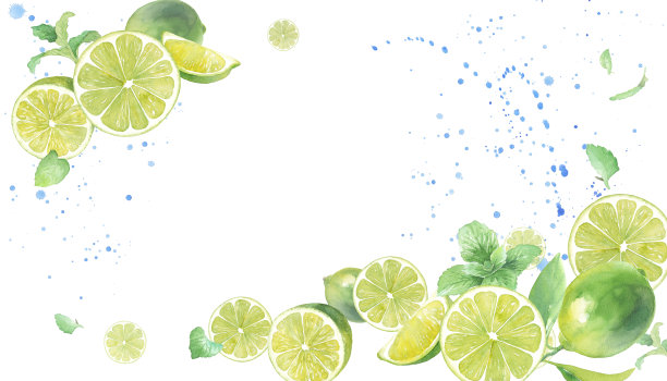 一个清新的柠檬和薄荷水彩插图。框架设计有两个角装饰。背景。图片下载