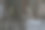 可爱和美丽的谷仓猫头鹰(Tyto alba)在一个旧谷仓。图片下载