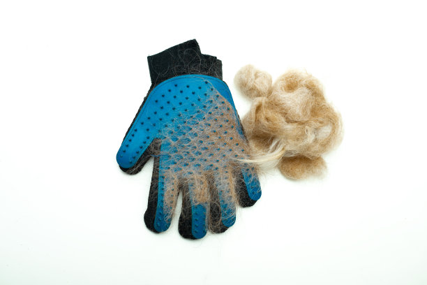 蓝色橡胶手套，用于梳理宠物，猫，狗的毛发。一团羊毛是用动物刷子梳理的结果。美容沙龙，或宠物护理在家。平坦的躺,孤立。图片下载