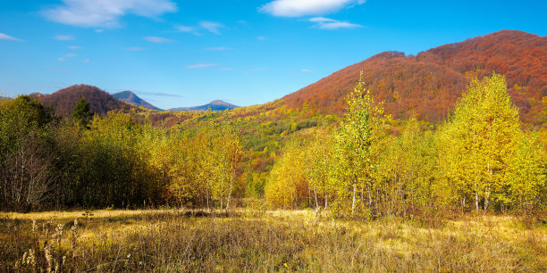 山中秋色黄图片下载
