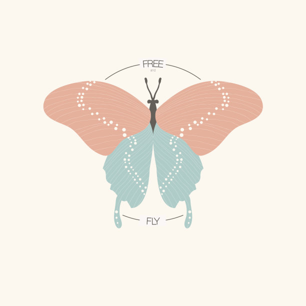 蝴蝶在桃红和玉绿色的颜色与“自由和飞翔”的标题在浅的背景。图片下载