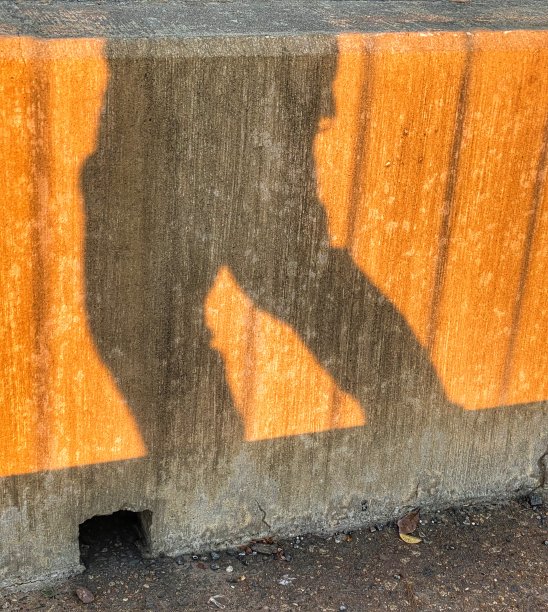 走在阳光下图片下载