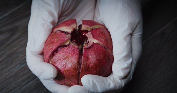 戴着手套的人手正在打破一个石榴——一步一步地用石榴、苏打水和迷迭香制作圣诞鸡尾酒图片下载