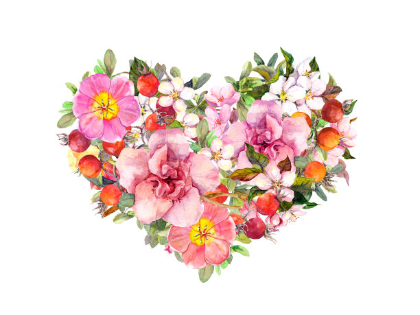 花心与粉红色的花，夏天的草和叶子。情人节的水彩画素材图片