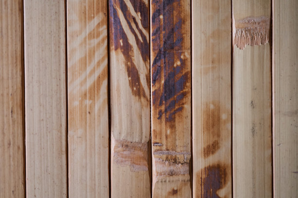 美丽的天然竹干背景图片下载