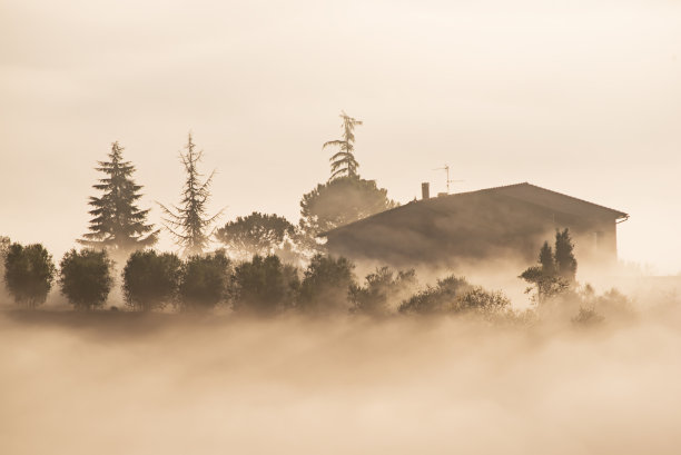 被雾淹没图片下载