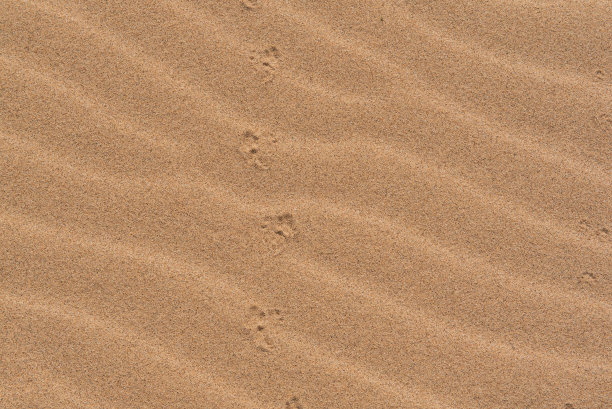 沙漠中的抽象沙质图案图片下载