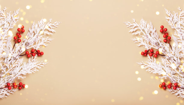 中性色彩的圣诞背景。白霜树枝上挂满了浆果和散焦灯。寒假概念，文案空间图片下载