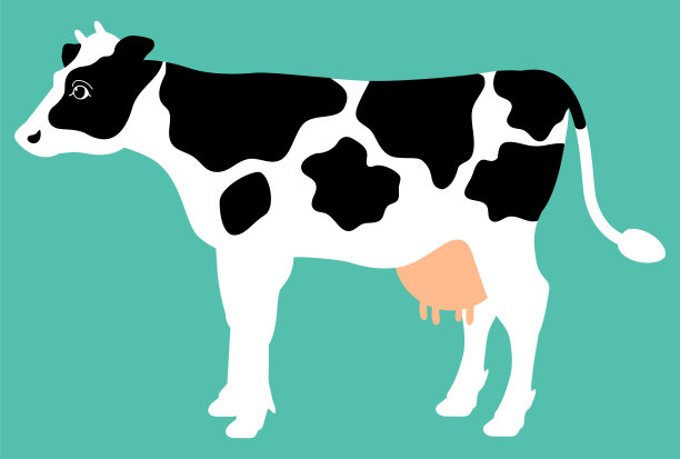 浅蓝色背景下黑白图案的奶牛全身插图[侧面]图片下载